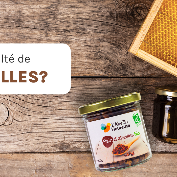 Comment est récolté le pain d'abeilles ?